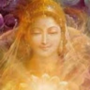 Meet your Posher, Lovie